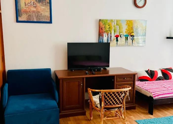 公寓 Kriszti Raday Utca 31 B 布达佩斯
