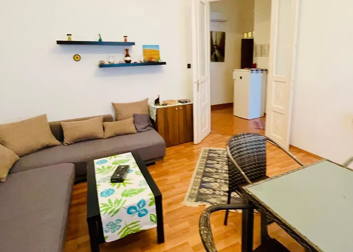 Kriszti Raday Utca 31 B 公寓 布达佩斯